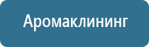 ароматизация автомобиля сухим туманом